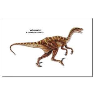  Velociraptor Dinosaur Carnivore Dinosaur Mini Poster Print 