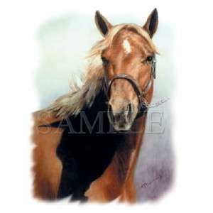 American Quarter Horse, Western, Sweatshirt, S, M, L or XL  