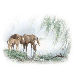 The Willow Pond Horse, Western Tshirt S, M, L or XL  