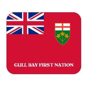  Canadian Province   Ontario, Gull Bay First Nation Mouse 