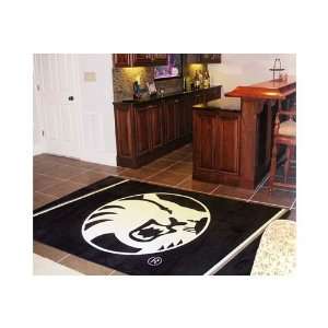  Cal State Chico Wildcats 4 x 6 Area Rug