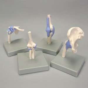 Altay Miniature Functional Joints Set  Industrial 