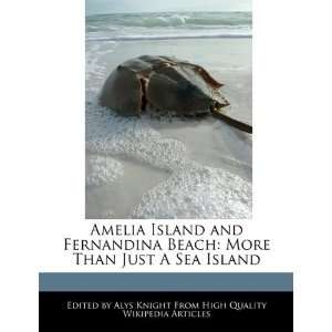   Beach More Than Just A Sea Island [Paperback] Alys Knight Books