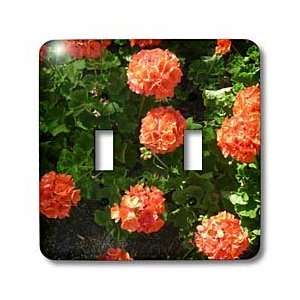 Florene Fowers   Orang I Pretty   Light Switch Covers   double toggle 