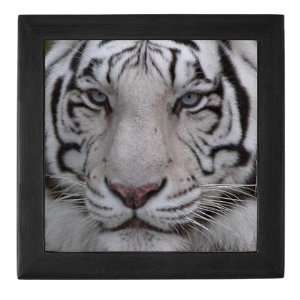 White Tiger White tiger Keepsake Box by 