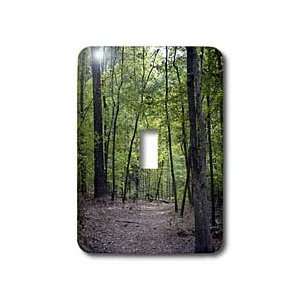   Scenes   Path in the Woods   Light Switch Covers   single toggle