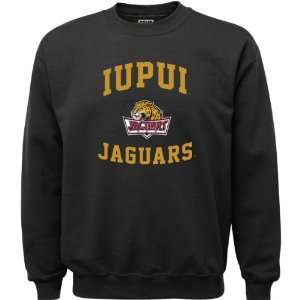 IUPUI Jaguars Black Youth Aptitude Crewneck Sweatshirt