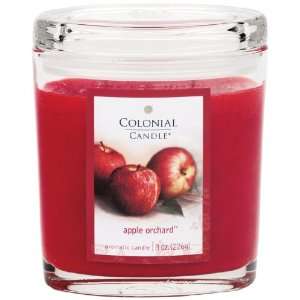  Colonial Candle Apple Orchard 8 oz Scented Oval Jar Candle 