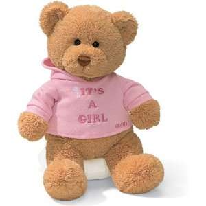  Gund Hugs Its a Girl Bear Toys & Games