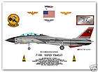 14D, Super Tomcat, VF 31, US Navy Fighter Print