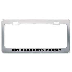  Got Uranomys Mouse? Animals Pets Metal License Plate Frame 