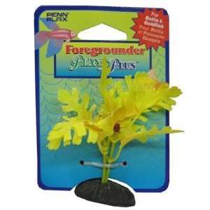  Saragassum Foregrounder Silk Aquarium Plant