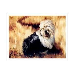  Old English Sheepdog Notecards 