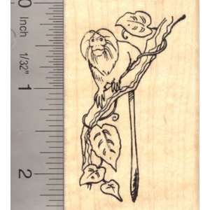  Tamarin Monkey Rubber Stamp Arts, Crafts & Sewing