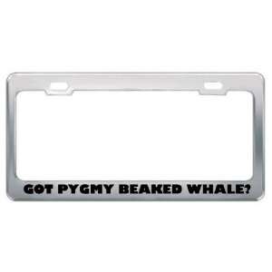 Got Pygmy Beaked Whale? Animals Pets Metal License Plate Frame Holder 