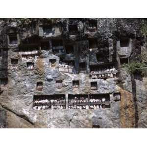  of the Dead Looking out from Lemo Cliff Tombs, Toraja Area, Island 