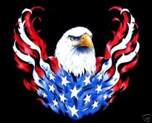 PATRIOTIC AMERICAN FLAG EAGLE RIDE BIKER T SHIRT WS67  
