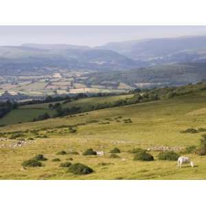 View Over the Valley of the River Usk and the Black Mountains, Powys 