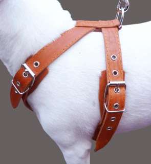 25 30 Real Leather Dog Walking Harness Amstaff Medium/Large  
