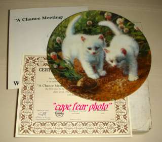 Amy Brackenbury 2 White Kittens & Turtle Plate (Beauty)  