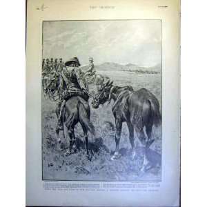  Cavalry Horses Boer War Africa Naval Brigade Lloyds