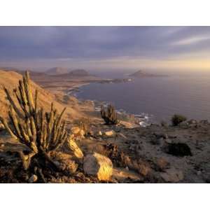 Desert Coast and Pacific Ocean, Atacama Desert, Pan de Azucar National 