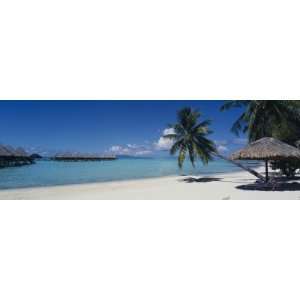  Lounge Chair under a Beach Umbrella, Moana Beach, Bora 