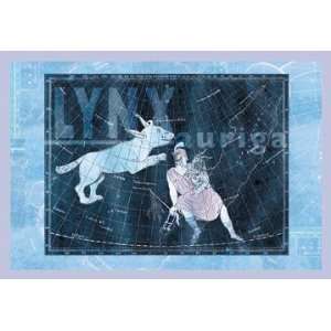   16676 2P2030 Lynx and Auriga NO.2 20x30 poster