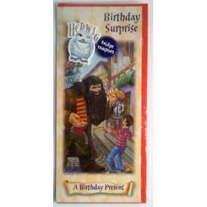  Harry Potter UK Birthday Card Hagrids Gift of Hedwig with 