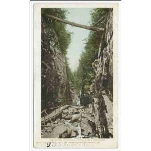  Reprint The Flume, Franconia Notch, White Mountains 1900 