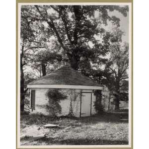  Photo Hamstead, Albemarle County, Virginia 1935