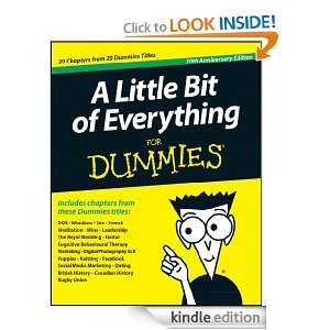 Little Bit of Everything For Dummies John Wiley and Sons  