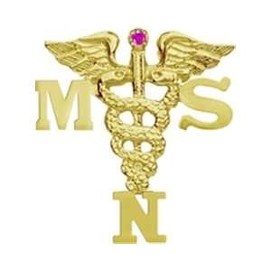     Masters of Science in Nursing MSN 14K Gold Pin with Ruby Jewelry