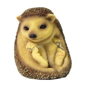  Baby Hedgehog Sitting Up and Looking Right Sculpture