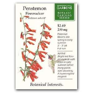  Penstemon Firecracker Seed Patio, Lawn & Garden