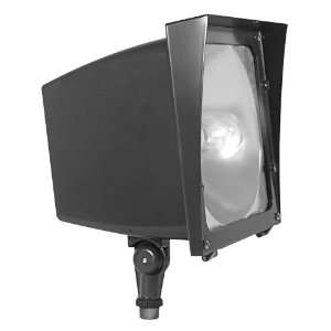  RAB Lighting EZHH100/480 Ez Flood Light 100W MH 480V