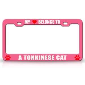 MY HEART BELONGS TO A TONKINESE Cat Pet Auto License Plate 