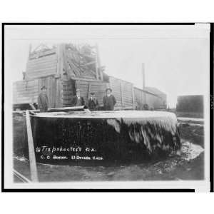   Trapshooters #2 / C.O. Boston, El Dorado, Kansas 1917