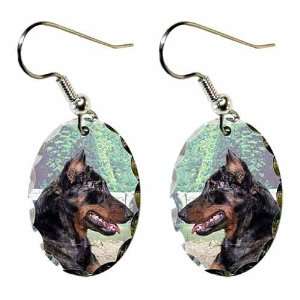  Beauceron Earrings 