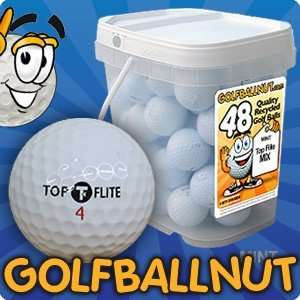  48 Ball Bucket TopFlite White Mix Mint Used Golf Balls 