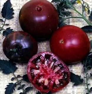 Black Russian Tomato 4 Plants   Brandywine Flavor  