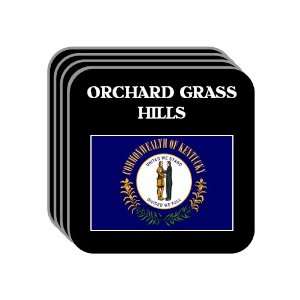  US State Flag   ORCHARD GRASS HILLS, Kentucky (KY) Set of 