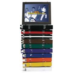 Deluxe Picture Frame & Ranking Belt Display Champion Karate or Tae 