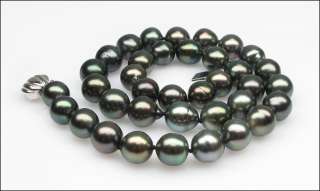   100 % guarantee authentic tahitian pearl top quality lowest price