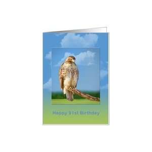  Birthday, 91st, Rough Legged Hawk Card Toys & Games