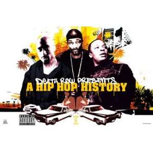  A Hip Hop History Poster 24 x 36 Aprox.