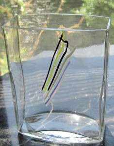 Kosta Boda Glass Rainbow Vase Signed Bertil Vallien  