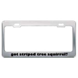 Got Striped Tree Squirrel? Animals Pets Metal License Plate Frame 
