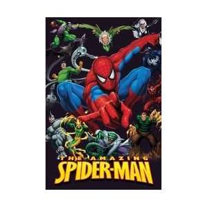  Movies Posters Spiderman   The Amazing Spiderman 