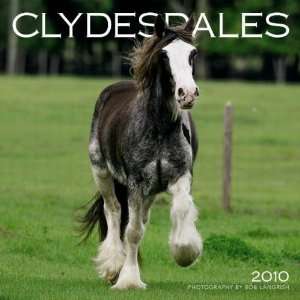  Clydesdales 2010 Wall Calendar